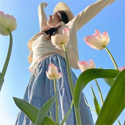 沙漠驼影